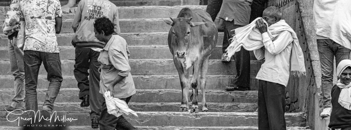 Photographic Themed Tour of India