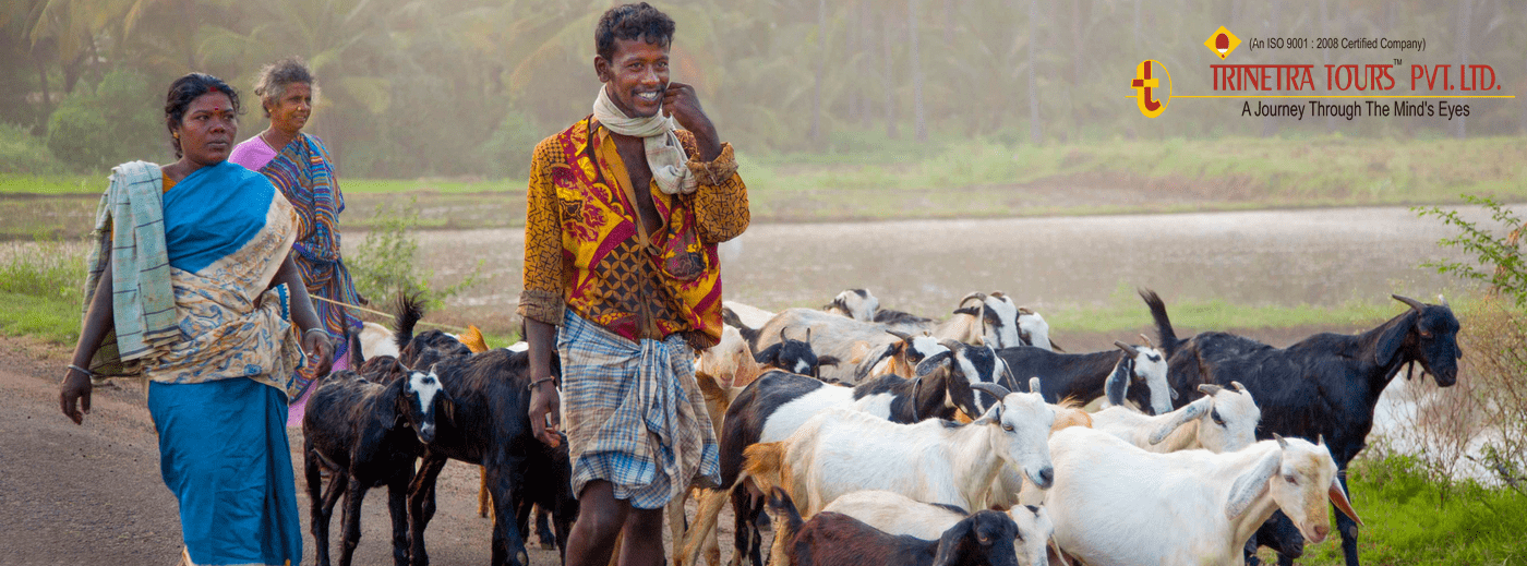 Kerala Beyond The Luxury Houseboats