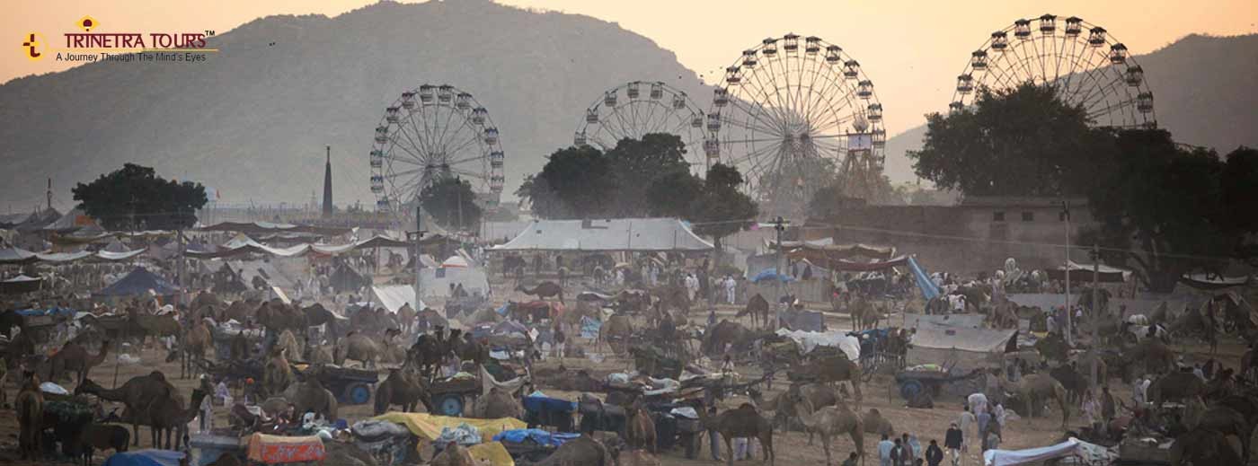 Pushkar Camel Fair, Rajasthan
