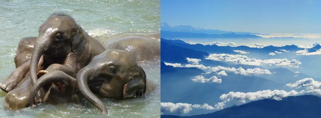 The Crown Jewels Of The Indian Sub-Continent