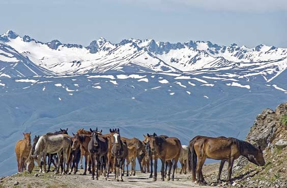 Central Asia