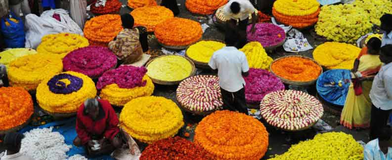 Guided tour of Bangalore-Architectural Treasures Tours Packages