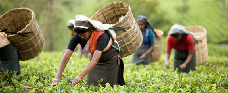 Tour of New Delhi-Himalayan Tours packages
