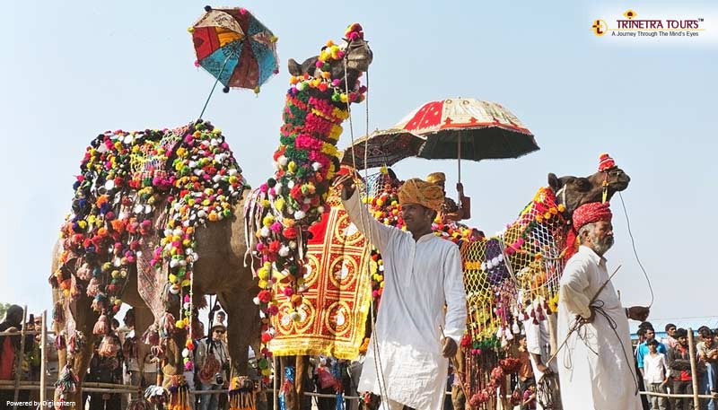 pushkar-camel-fair