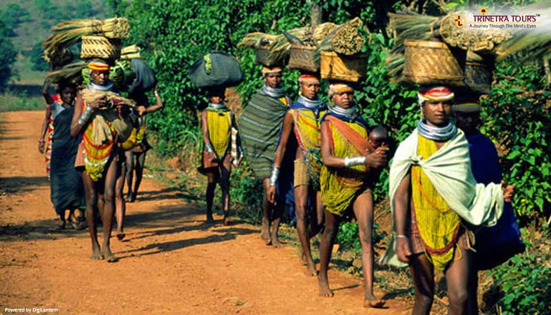 tribal-village
