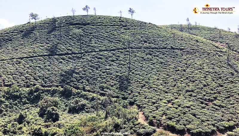 Periyar-Kumarakom